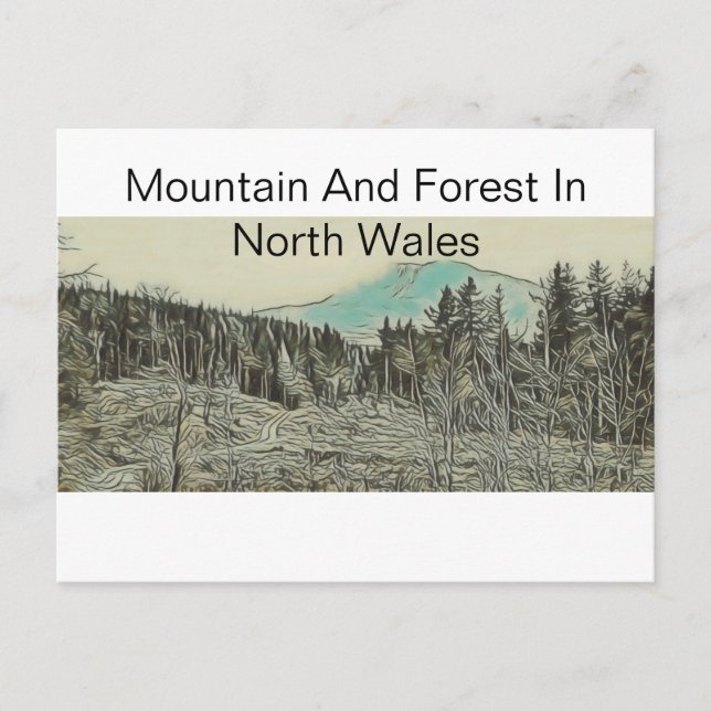 Mountain And Forest In North Wales Postcard (Front)