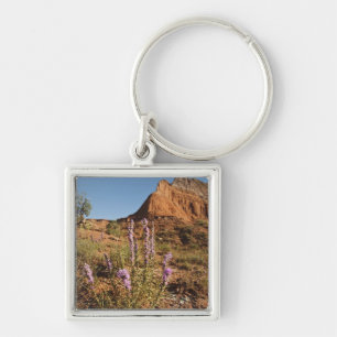 Mountain and Gayfeather Keychain