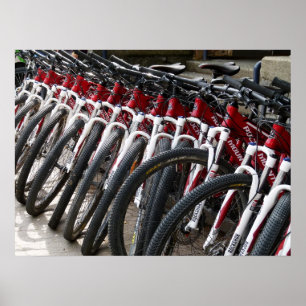 Mountain bikes in a row poster