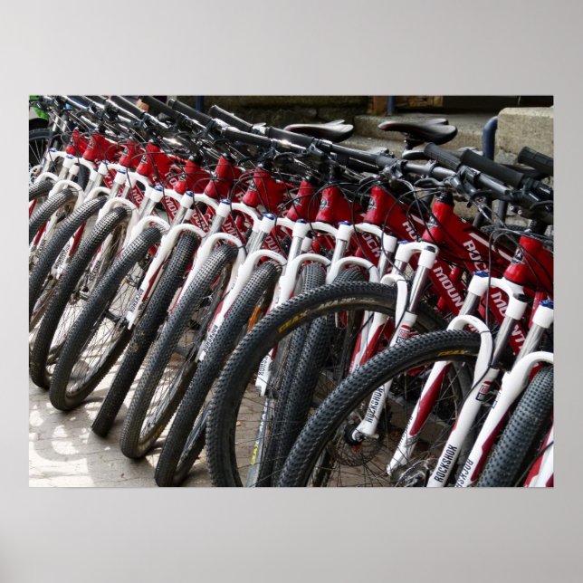 Mountain bikes in a row poster (Front)