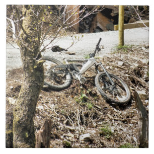 MOUNTAIN BIKING TILE
