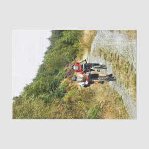 MOUNTAIN BIKING TISSUE PAPER