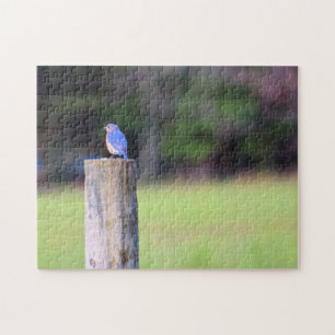 Mountain Blue Bird - 11x14 inch Jigsaw Puzzle