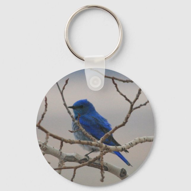 Mountain Blue Bird Keychain (Front)