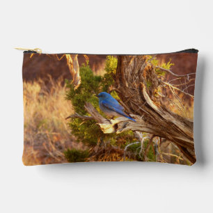 Mountain Bluebird at Arches National Park Accessory Pouch
