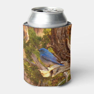 Mountain Bluebird at Arches National Park Can Cooler