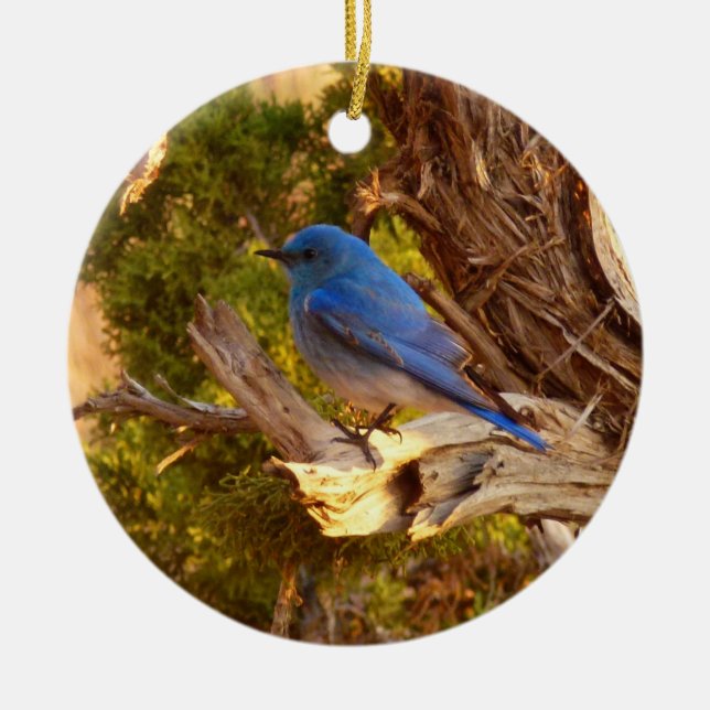 Mountain Bluebird at Arches National Park Ceramic Ornament (Front)