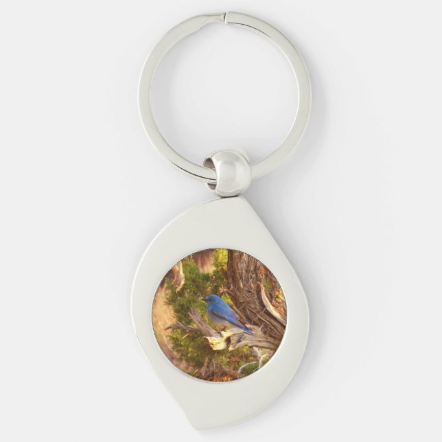 Mountain Bluebird at Arches National Park Keychain (Front)