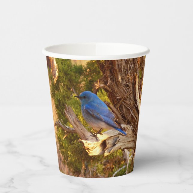 Mountain Bluebird at Arches National Park Paper Cups (Left)