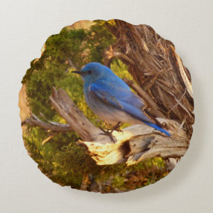 Mountain Bluebird at Arches National Park Round Pillow