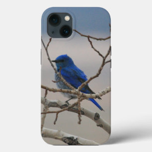Mountain Bluebird iPhone 13 Case