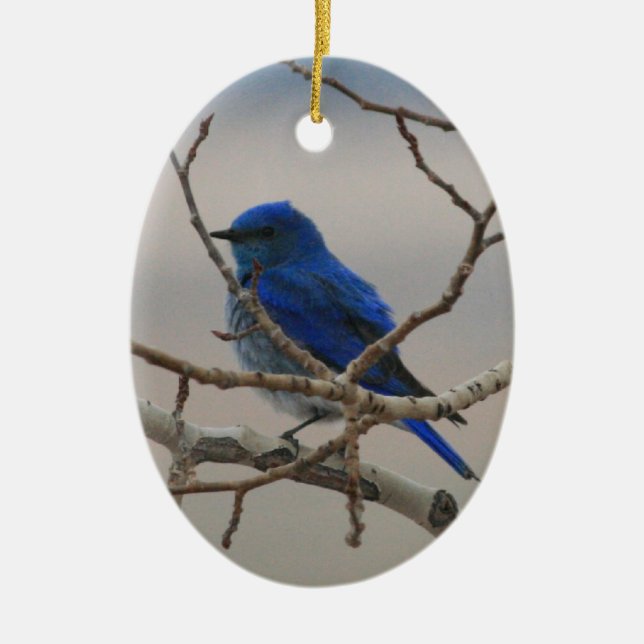 Mountain Bluebird Ceramic Ornament (Front)