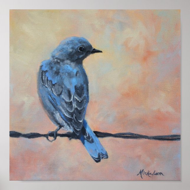 Mountain Bluebird Fine Art Print (Front)