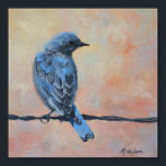 Mountain Bluebird Fine Art Print (Small)<br><div class="desc">Mountain bluebirds are quite common in the spring and summer seasons in the mountain regions of Colorado and Wyoming. The males are especially colourful, and the brilliant streak of bright blue is hard to miss as they dart about. This image is from an original oil painting by award winning Colorado...</div>