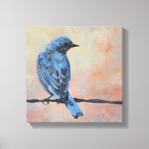 Mountain Bluebird Fine Art Wrapped Canvas