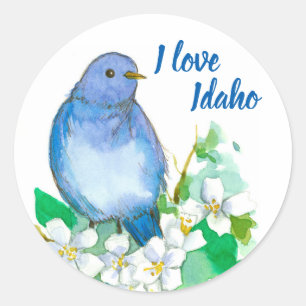 Mountain Bluebird I Love Idaho Classic Round Sticker