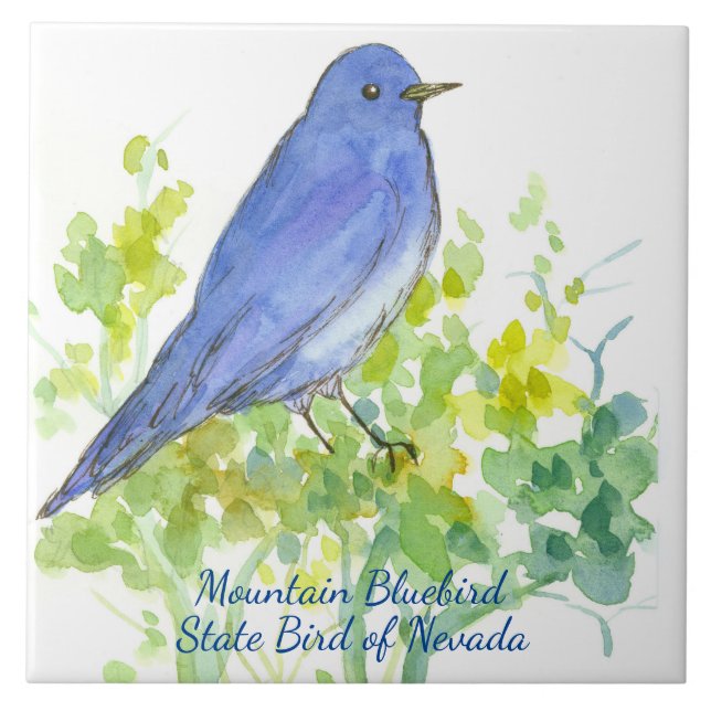 Mountain Bluebird Nevada State Bird Watercolor Tile (Front)