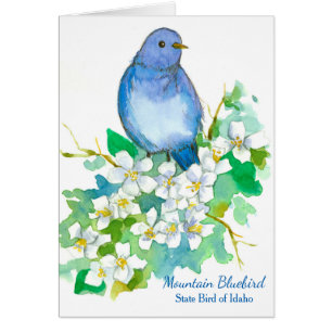 Mountain Bluebird State Bird of Idaho Blank