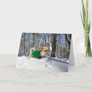 Mountain Climber battler card