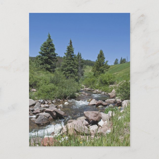 Mountain Colorado Stream Postcard (Front)