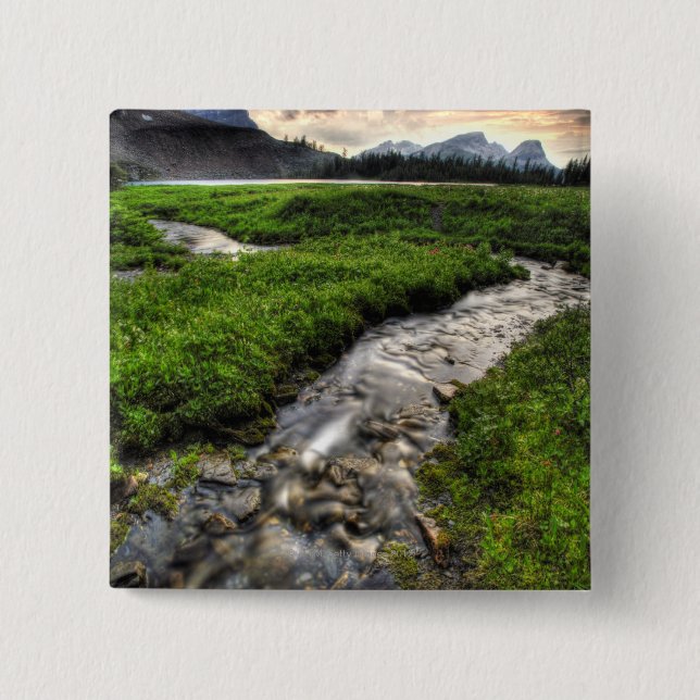 Mountain creek descends through meadow toward 2 inch square button (Front)