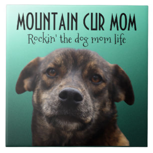 Mountain Cur Mom Ceramic Tile