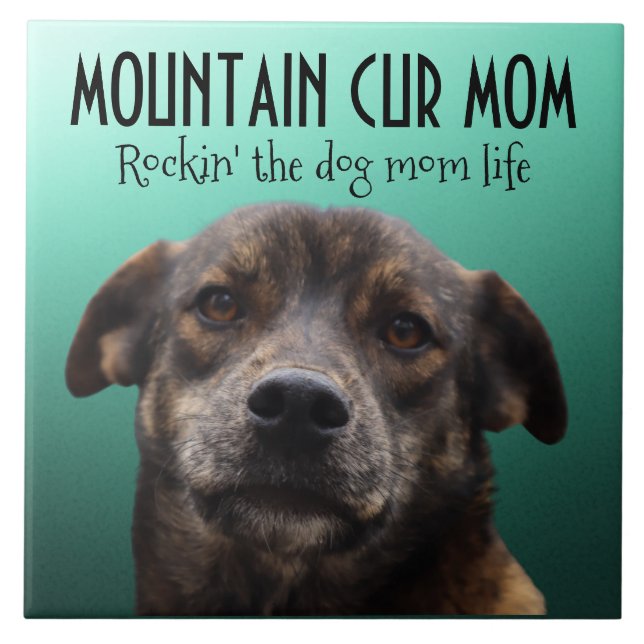 Mountain Cur Mom Ceramic Tile (Front)