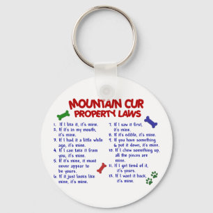 MOUNTAIN CUR Property Laws 2 Keychain