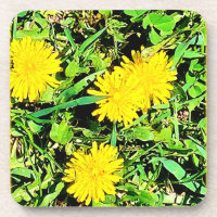 Mountain Dandelions Photo. Buy Now