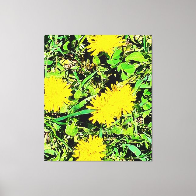 Mountain Dandelions Photo From Ottawa Canada Canvas Print (Front)