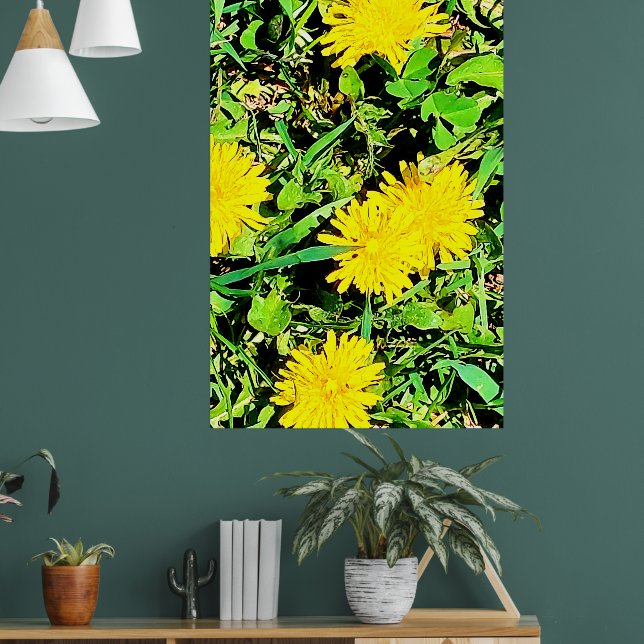 Mountain Dandelions Photo From Ottawa Canada Poster (Living Room 1)