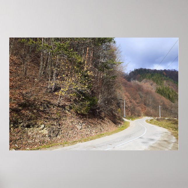 Mountain Forest Road - Wild Nature Romania Poster (Front)