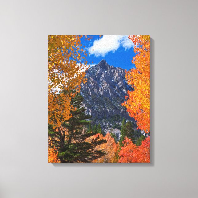 Mountain framed in fall foliage, CA Canvas Print (Front)