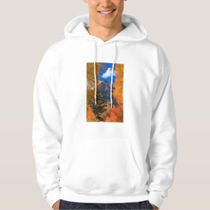 Mountain framed in fall foliage, CA Hoodie