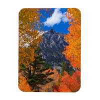 Mountain framed in fall foliage, CA