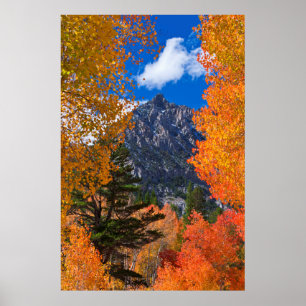 Mountain framed in fall foliage, CA Poster