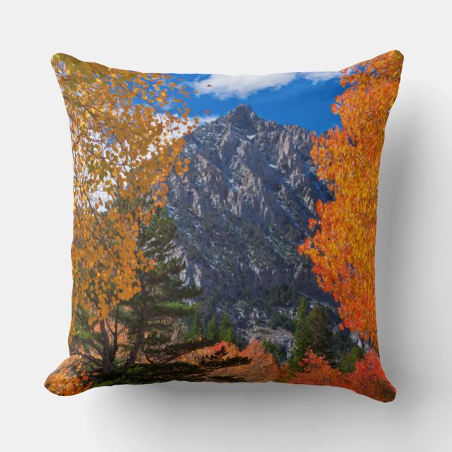 Mountain framed in fall foliage, CA Throw Pillow (Front)
