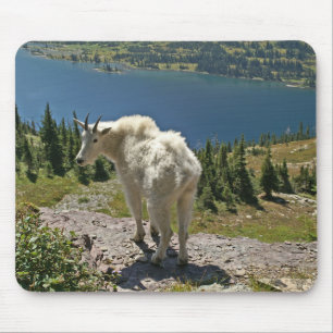 Mountain Goat at Glacier National Park Mouse Pad