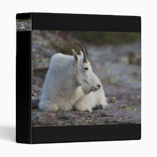 mountain goat binder