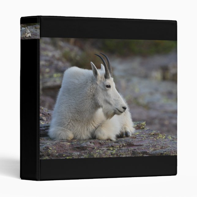 mountain goat binder (Front/Spine)