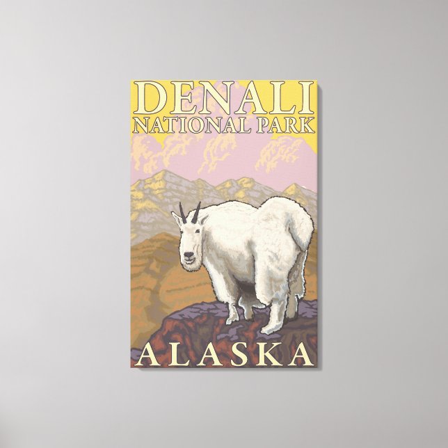 Mountain Goat - Denali National Park, Alaska Canvas Print (Front)
