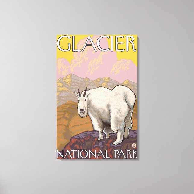 Mountain Goat - Glacier National Park, MT Canvas Print (Front)