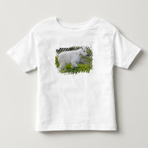 Mountain goat kid at Logan Pass in Glacier Toddler T-shirt