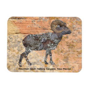 Mountain Goat Magnet