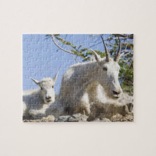 Mountain goat nanny with kid in Glacier National Jigsaw Puzzle