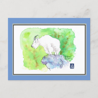 Mountain Goat Postcard