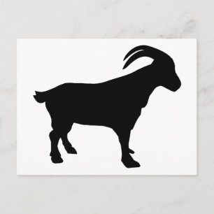 Mountain goat postcard