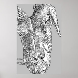Mountain Goat Poster
