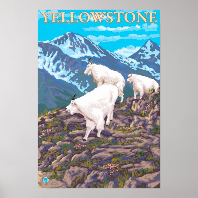 Mountain Goats Scene - Yellowstone National Park Poster (Front)