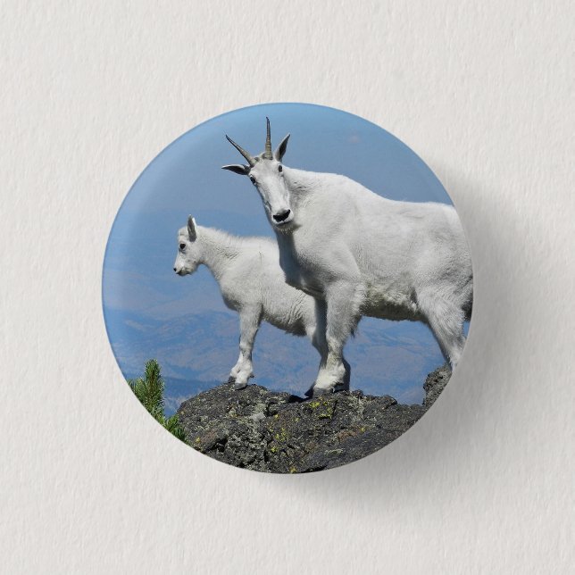 Mountain Goats White Wildlife Photo 1 Inch Round Button (Front)